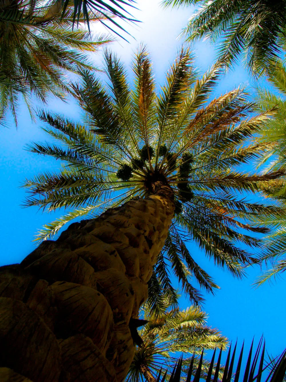 Bulk-Buying Dates Before Ramadan: Stock Strategy, D-90 to D-0 Timeline & Cash Management
