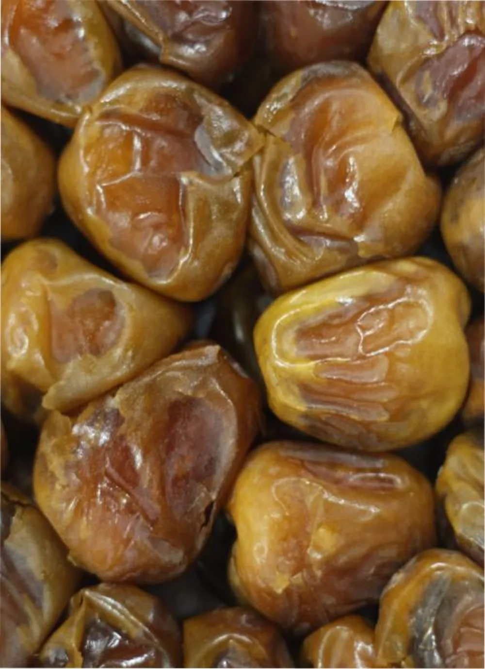 Kurma Sukari Qassim — Grosir Borongan Termurah Jabodetabek